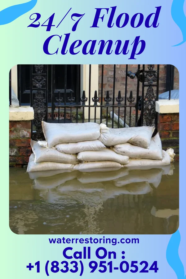 24/7 Flood Cleanup in Nora Springs, IA