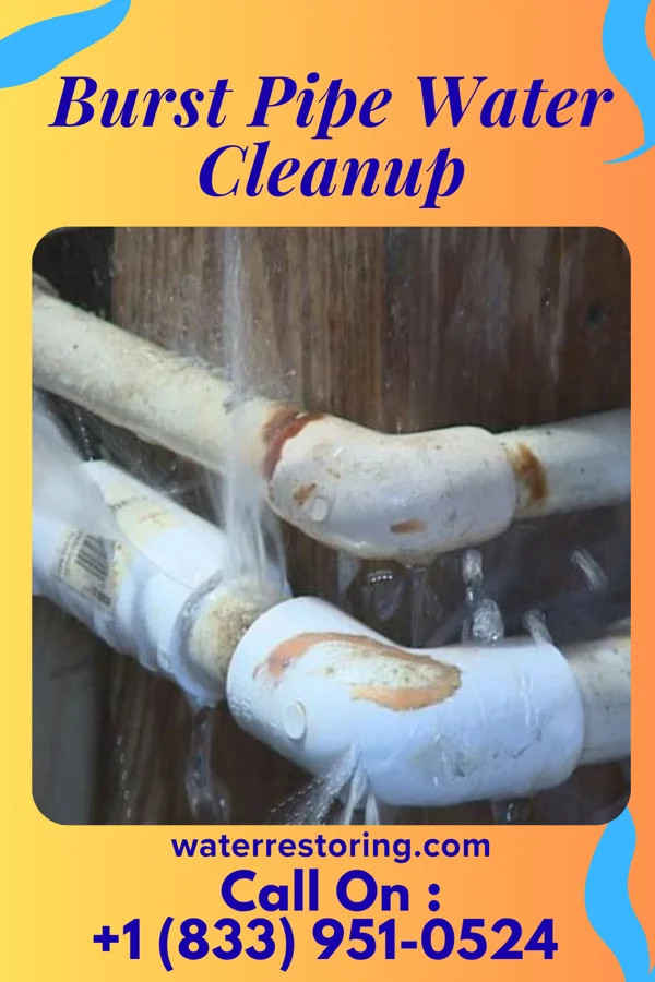Burst Pipe Water Cleanup in Nora Springs, IA