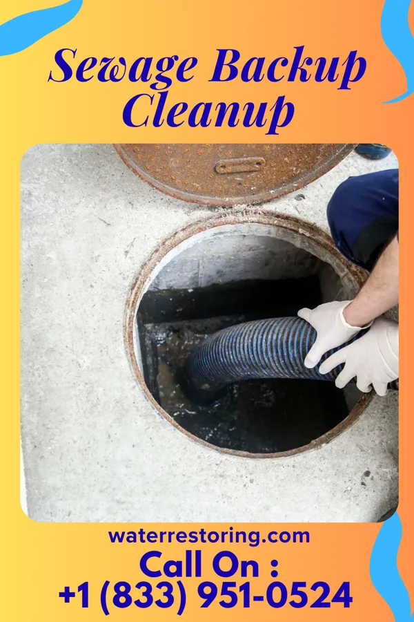 Sewage Backup Cleanup in Nora Springs, IA