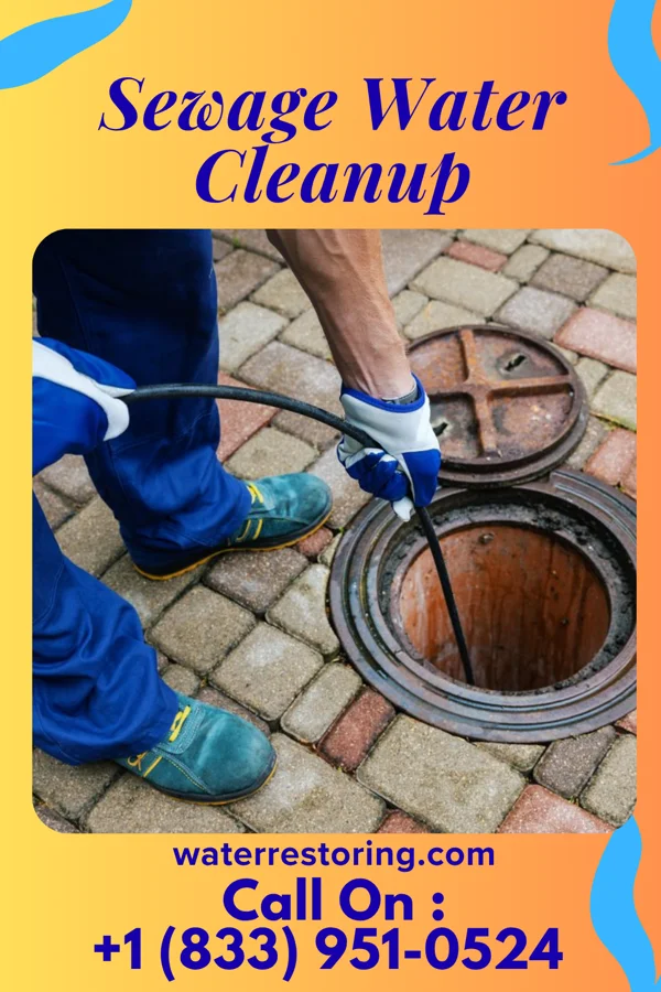 Sewage Water Cleanup in Nora Springs, IA